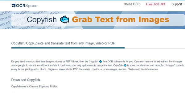 CopyFish-ai.webp